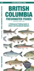 Image for British Columbia Freshwater Fishes : A Waterproof Folding Guide to Native and Introduced Species