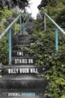 Image for The Stairs on Billy Buck Hill