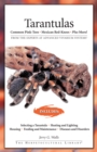 Image for Tarantulas: from the experts at Advanced Vivarium Systems