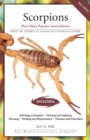 Image for Scorpions: Plus Other Popular Invertebrates
