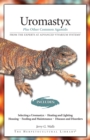 Image for Uromastyx: plus other common Agamids