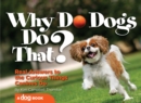 Image for Why Do Dogs Do That?: Real Answers to the Curious Things Canines Do?