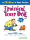 Image for The big book of simple solutions: training your dog