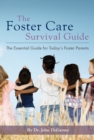 Image for The foster care survival guide: the essential guide for today&#39;s foster parents