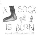 Image for A Sock Is Born