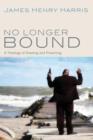 Image for No Longer Bound : A Theology of Reading and Preaching
