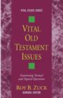 Image for Vital Old Testament Issues