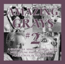 Image for Amazing Grays #2 : A Grayscale Adult Coloring Book with 50 Fine Photos of People, Places, Pets, Plants &amp; More