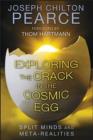 Image for Exploring the Crack in the Cosmic Egg