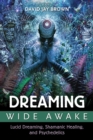 Image for Dreaming wide awake: lucid dreaming, shamanic healing, and psychedelics
