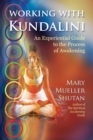 Image for Working with Kundalini: an experiential guide to the process of awakening