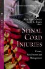 Image for Spinal Cord Injuries
