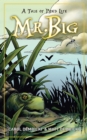 Image for Mr. Big: a tale of pond life