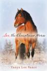 Image for Sox, the Christmas Horse