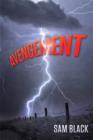Image for Avengement