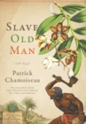 Image for Slave Old Man: A Novel