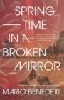 Image for Springtime in a Broken Mirror: A Novel