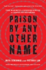 Image for Prison by any other name  : the harmful consequences of popular reforms