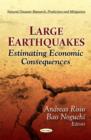 Image for Large Earthquakes : Estimating Economic Consequences