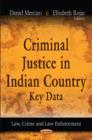 Image for Criminal Justice in Indian Country