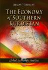 Image for The economy of southern Kurdistan