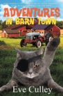 Image for Adventures in Barn Town