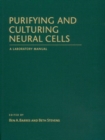 Image for Purifying and Culturing Neural Cells