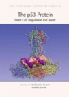 Image for The P53 Protein: From Cell Regulation to Cancer