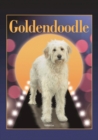 Image for Goldendoodle (Designer Dog Series)