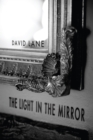 Image for Light in the Mirror