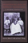 Image for Engendering African American Archaeology : A Southern Perspective