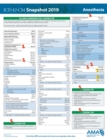 Image for ICD-10-CM 2019 Snapshot Coding Card: Anesthesia