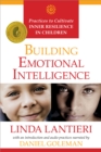 Image for Building Emotional Intelligence