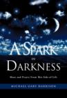 Image for A Spark in Darkness