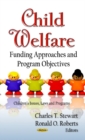Image for Child Welfare : Funding Approaches &amp; Program Objectives