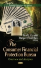 Image for Consumer financial protection bureau  : overview &amp; analyses