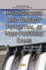 Image for Hydropower &amp; Energy Potential at Non-Powered Dams