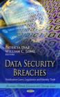 Image for Data Security Breaches