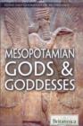 Image for Mesopotamian Gods &amp; Goddesses