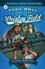 Image for Foul Ball Frame-up at Wrigley Field
