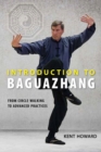 Image for Bagua Zhang fundamentals  : from circle walking to advanced practices