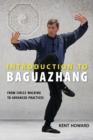 Image for Bagua Zhang Fundamentals: From Circle Walking to Advanced Practices