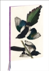 Image for Magpies, James Audubon A4 Notebook
