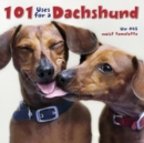 Image for 101 uses for a dachshund