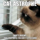 Image for Cat-astrophe