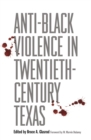 Image for Anti-Black violence in twentieth-century Texas