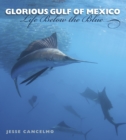 Image for Glorious Gulf of Mexico: life below the blue