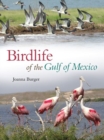 Image for Birdlife of the Gulf of Mexico