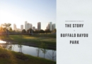 Image for From Rendering to Reality : The Story of Buffalo Bayou Park