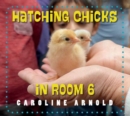Image for Hatching Chicks in Room 6